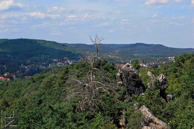 Fotos Harz : Weg vom Grossvater-Felsen zum Hamburger-Wappen