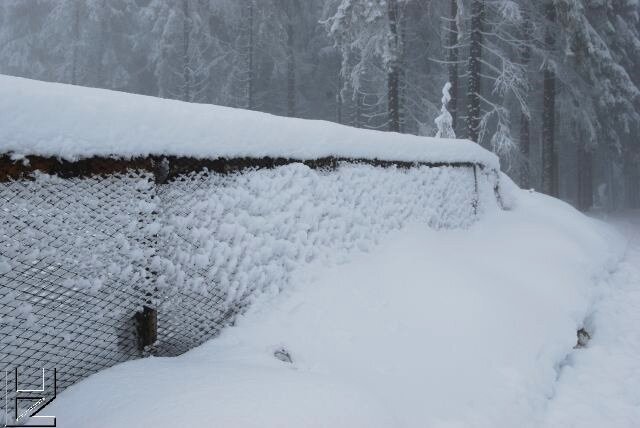 Fotos Harz : Wurmberg 12/08 Schnee-Impressionen im Nebel 8886
