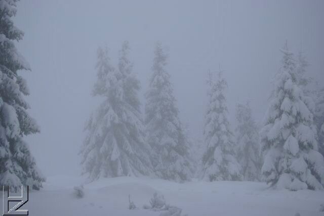 Fotos Harz : Wurmberg 12/08 Schnee-Impressionen im Nebel 8891